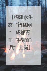 构建水生态“智慧网” 成都青羊“智能哨兵”上岗