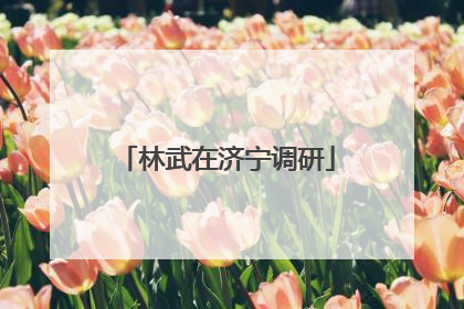 林武在济宁调研