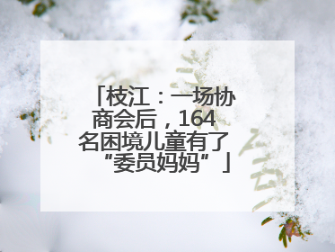 枝江：一场协商会后，164名困境儿童有了“委员妈妈”