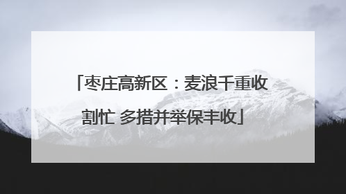 枣庄高新区：麦浪千重收割忙 多措并举保丰收