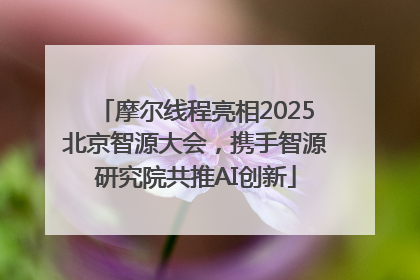 摩尔线程亮相2025北京智源大会，携手智源研究院共推AI创新