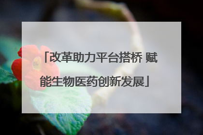 改革助力平台搭桥 赋能生物医药创新发展