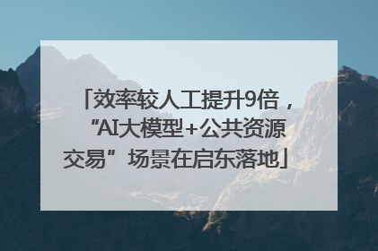 效率较人工提升9倍，“AI大模型+公共资源交易”场景在启东落地
