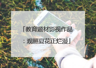 教育题材影视作品：观照夏花正烂漫