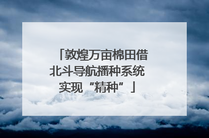 敦煌万亩棉田借北斗导航播种系统实现“精种”