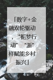 数字+金融双轮驱动，“栀梦行动”“浙”样赋能乡村振兴