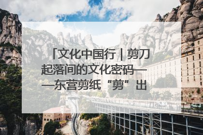 文化中国行｜剪刀起落间的文化密码——东营剪纸“剪”出非遗传承与现代生活的融合之道