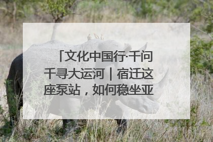 文化中国行·千问千寻大运河｜宿迁这座泵站，如何稳坐亚洲第一宝座？