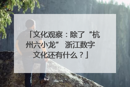 文化观察：除了“杭州六小龙” 浙江数字文化还有什么？