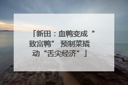 新田：血鸭变成“致富鸭” 预制菜撬动“舌尖经济”