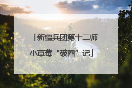 新疆兵团第十二师小草莓“破圈”记