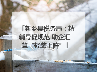 新乡县税务局：精辅导促规范 助企汇算“轻装上阵”
