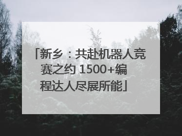 新乡：共赴机器人竞赛之约 1500+编程达人尽展所能