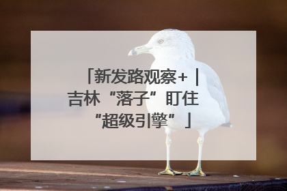 新发路观察+｜吉林“落子”盯住“超级引擎”