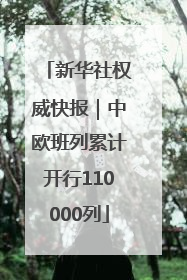 新华社权威快报｜中欧班列累计开行110000列