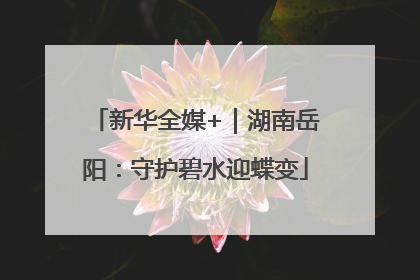 新华全媒+｜湖南岳阳：守护碧水迎蝶变