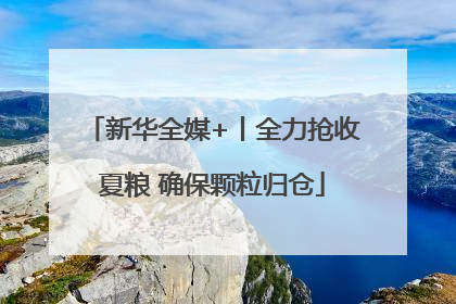 新华全媒+丨全力抢收夏粮 确保颗粒归仓