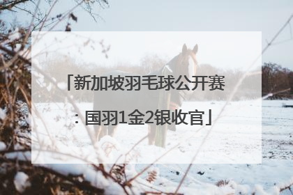 新加坡羽毛球公开赛：国羽1金2银收官