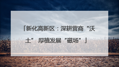 新化高新区：深耕营商“沃土” 厚植发展“磁场”