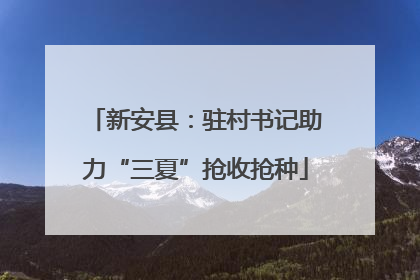 新安县：驻村书记助力“三夏”抢收抢种