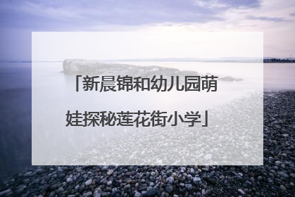 新晨锦和幼儿园萌娃探秘莲花街小学