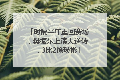 时隔半年重回赛场，樊振东上演大逆转，3比2徐瑛彬