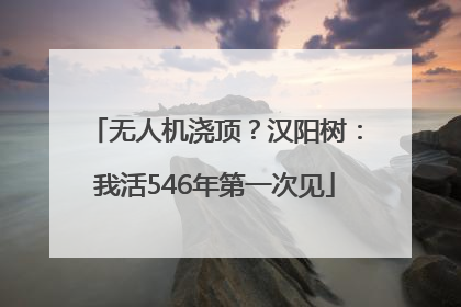无人机浇顶？汉阳树：我活546年第一次见