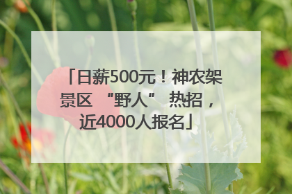 日薪500元！神农架景区 “野人” 热招，近4000人报名