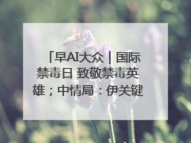 早AI大众｜国际禁毒日 致敬禁毒英雄；中情局：伊关键核设施被摧毁
