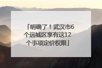 明确了！武汉市6个远城区享有这12个事项定价权限