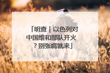 明查｜以色列对中国维和部队开火？别张嘴就来