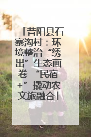 昔阳县石寨沟村：环境整治“绣出”生态画卷 “民宿+”撬动农文旅融合