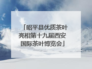 昭平县优质茶叶亮相第十九届西安国际茶叶博览会