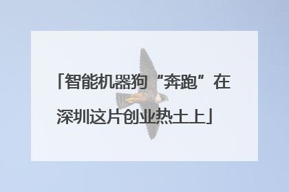 智能机器狗“奔跑”在深圳这片创业热土上