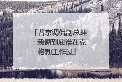 普京调侃副总理：我俩到底谁在克格勃工作过