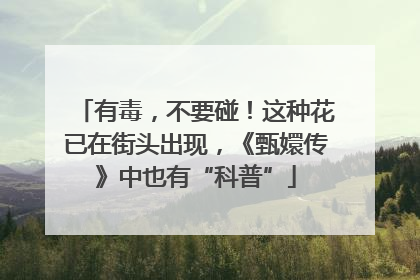 有毒，不要碰！这种花已在街头出现，《甄嬛传》中也有“科普”