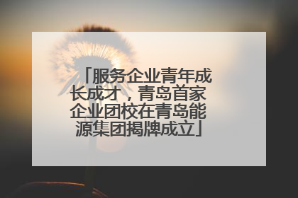 服务企业青年成长成才，青岛首家企业团校在青岛能源集团揭牌成立
