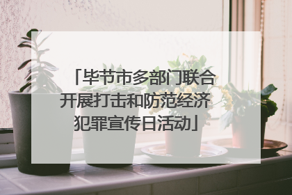 毕节市多部门联合开展打击和防范经济犯罪宣传日活动