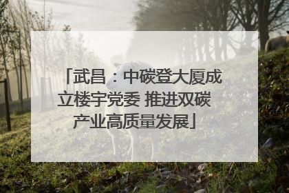 武昌：中碳登大厦成立楼宇党委 推进双碳产业高质量发展