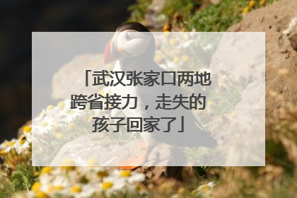 武汉张家口两地跨省接力，走失的孩子回家了