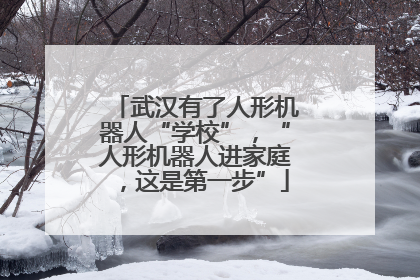 武汉有了人形机器人“学校”，“人形机器人进家庭，这是第一步”