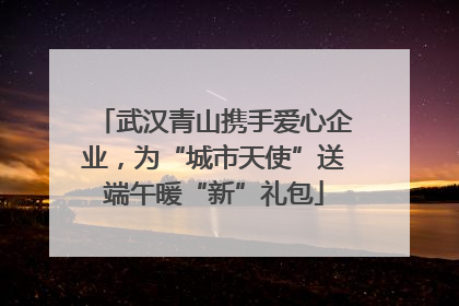 武汉青山携手爱心企业，为“城市天使”送端午暖“新”礼包