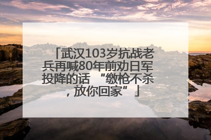 武汉103岁抗战老兵再喊80年前劝日军投降的话 “缴枪不杀，放你回家”
