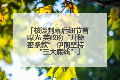核谈判幕后细节首曝光 美政府“开秘密条款” 伊朗坚持“三大底线”