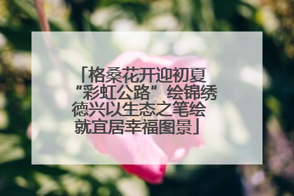 格桑花开迎初夏 “彩虹公路”绘锦绣 德兴以生态之笔绘就宜居幸福图景