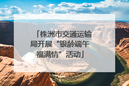株洲市交通运输局开展“银龄端午福满情”活动