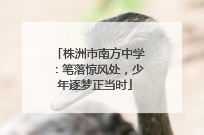 株洲市南方中学：笔落惊风处，少年逐梦正当时