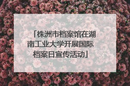株洲市档案馆在湖南工业大学开展国际档案日宣传活动
