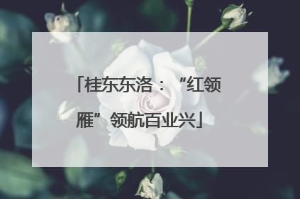桂东东洛：“红领雁”领航百业兴
