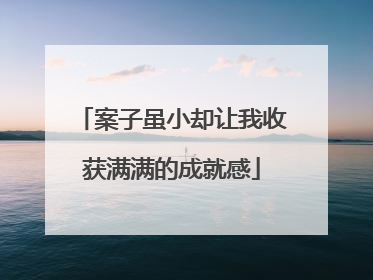 案子虽小却让我收获满满的成就感